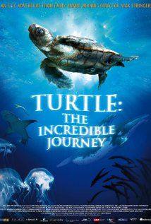 Turtle: The Incredible Journey(2009) Movies
