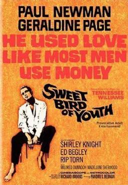 Sweet Bird of Youth(1962) Movies