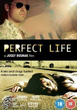 Perfect Life(2010) Movies
