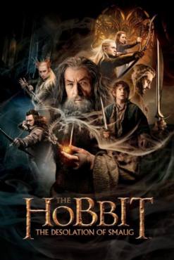 The Hobbit: The Desolation of Smaug(2013) Movies