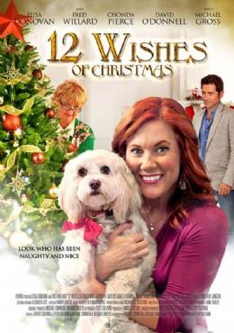 12 Wishes of Christmas(2011) Movies