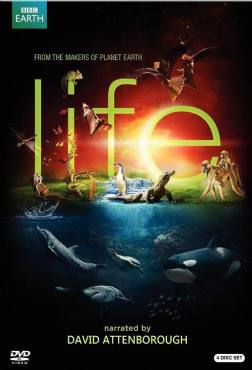 Life(2009) 