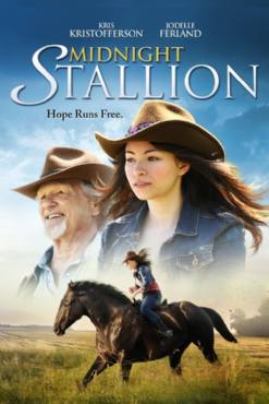 Midnight Stallion(2013) Movies