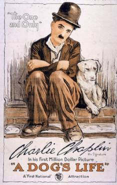 A Dogs Life(1918) Movies