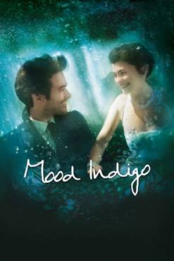 Mood Indigo(2013) Movies