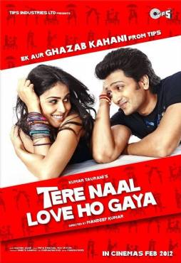 Tere Naal Love Ho Gaya(2012) Movies