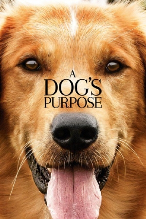 A Dogs Purpose(2017) Movies
