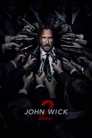 John Wick: Chapter 2(2017) Movies