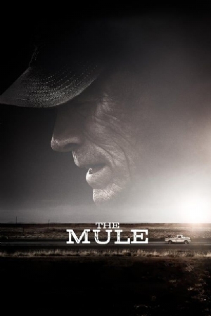 The Mule(2018) Movies