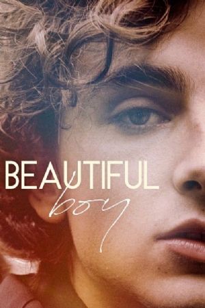 Beautiful Boy(2018) Movies