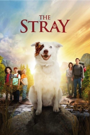 The Stray(2017) Movies