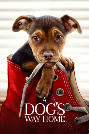 A Dogs Way Home(2019) Movies