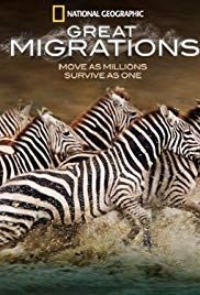 Great Migrations(2010) 