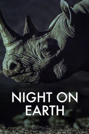 Night on Earth(2020) 