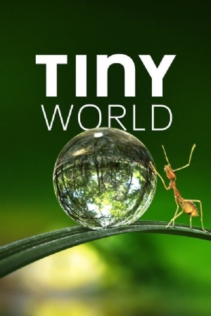 Tiny World(2020) 