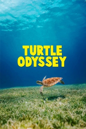 Turtle Odyssey(2018) Movies