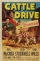 Cattle Drive (1951)