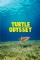 Turtle Odyssey (2018)