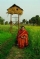 Vandana Shiva as 